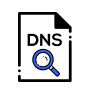 Analyseur d'enregistrements DNS